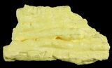Sulfur Stalactite Formation - Louisiana #64099-1